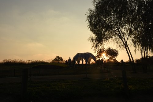 silhouette  sunset