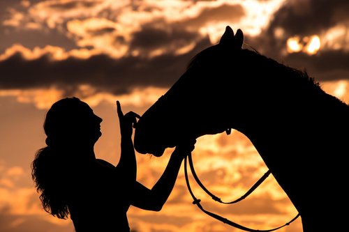 silhouette  woman  horse