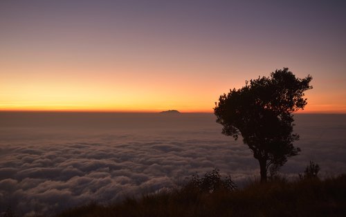 silhouette  sunrise  dawn