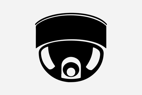 silhouette  security  cam