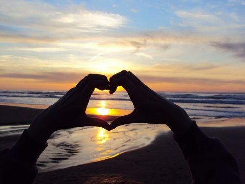 silhouette beach sunrise