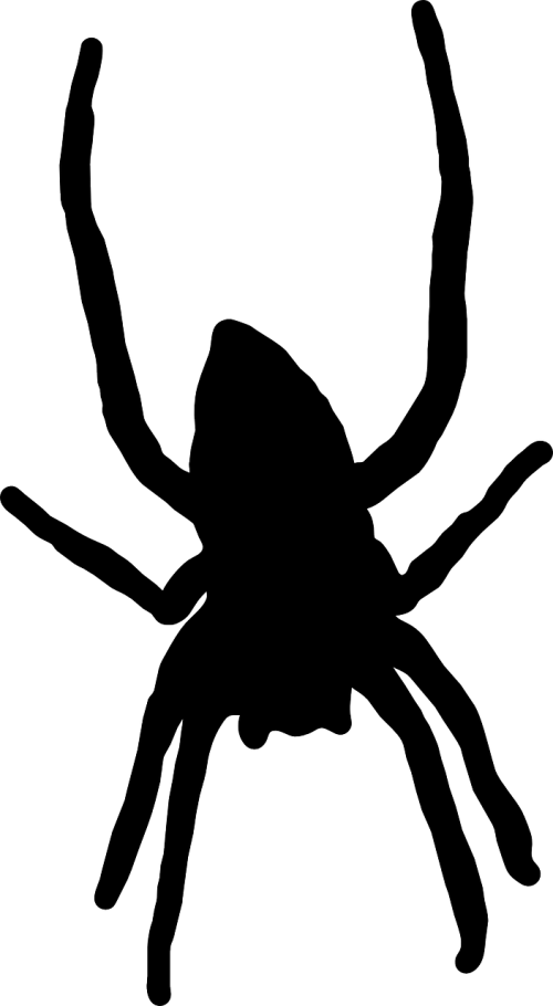 silhouette spider long