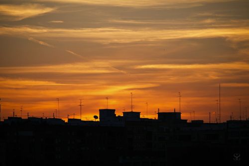 silhouette contour buildings