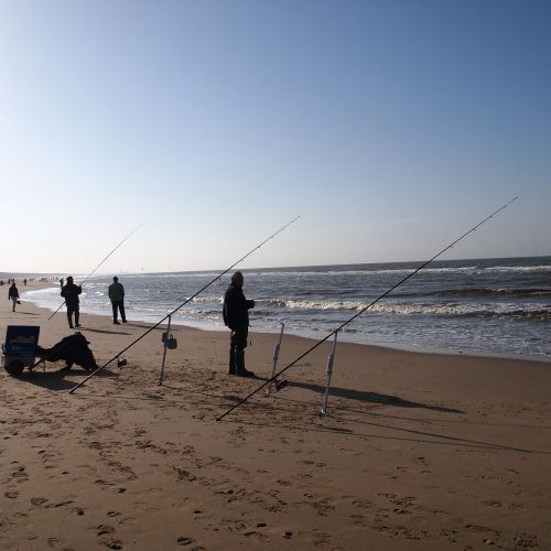 silhouette people fishing