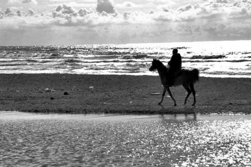 Silhouette Of Man On Horse At Beach