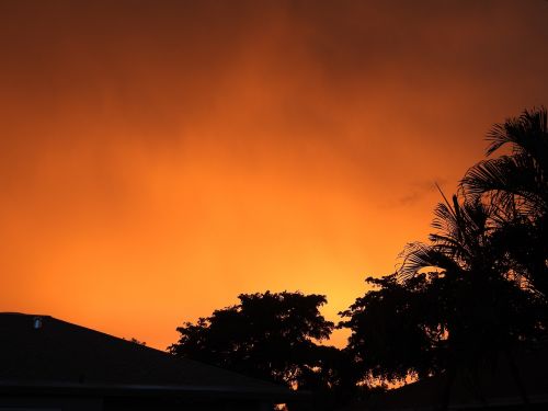 silhouette tree red sky sunset