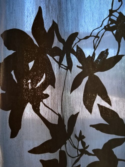 Silhouetted Leaves Background