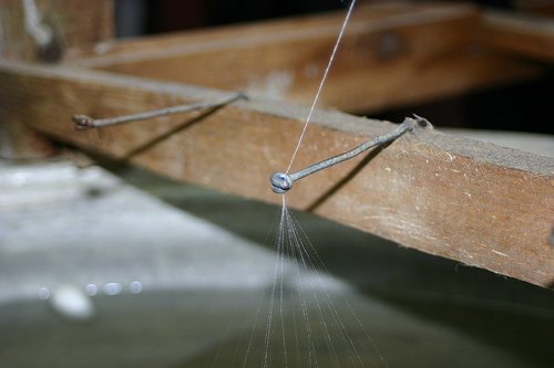 silk thread  silkworm  thread spider