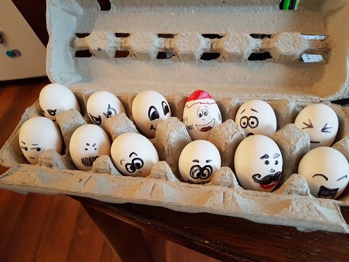 silkie eggs  eggs in carton  eggs with faces