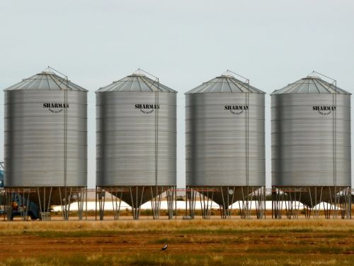 silo wheat storage wheat