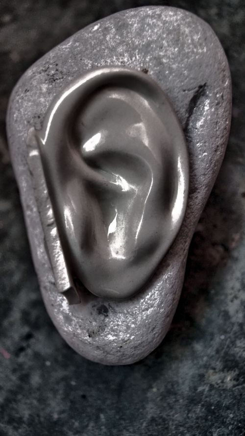 Silver Ear