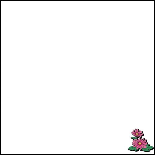 Simple Frame With Nice Flowers