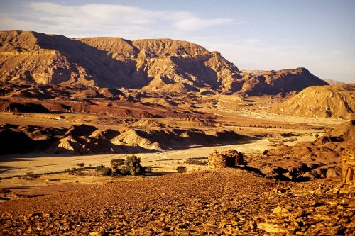 sinai desert egypt
