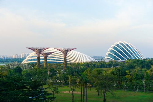 singapore flower dome