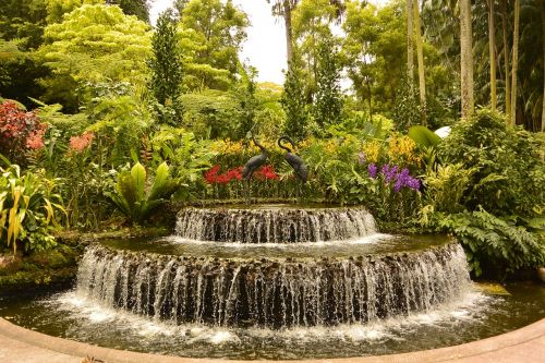 singapore botanical garden fountain