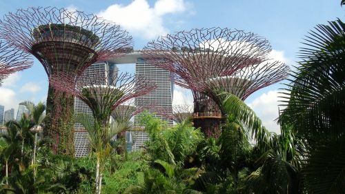 singapore landmark garden