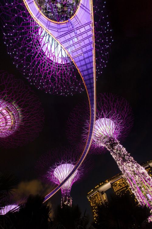 singapore night architecture