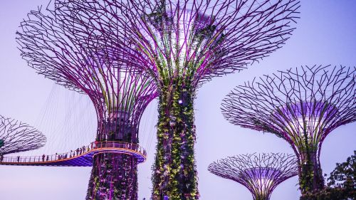 singapore gardens by the bay supertrees