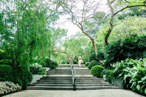 singapore botanic garden steps