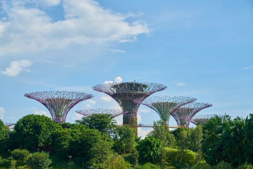 singapore asian park