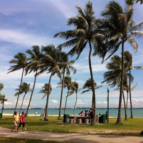 singapore coastal breeze