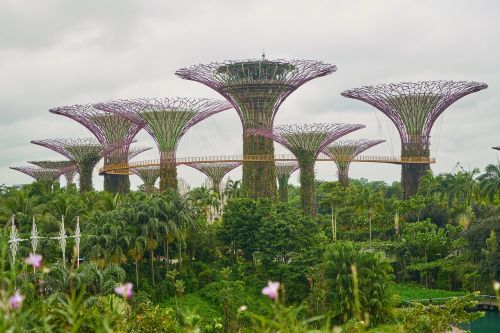 singapore park landscape
