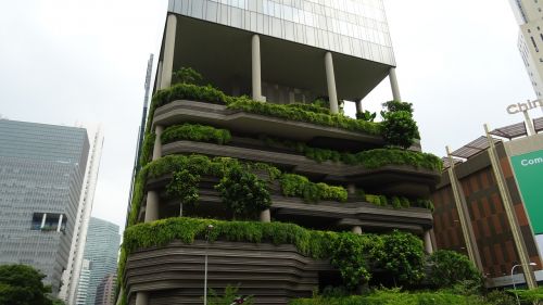 singapore building curious green