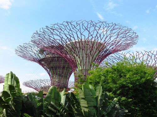 singapore garden by the bay marina