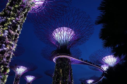 singapore supertree grove background