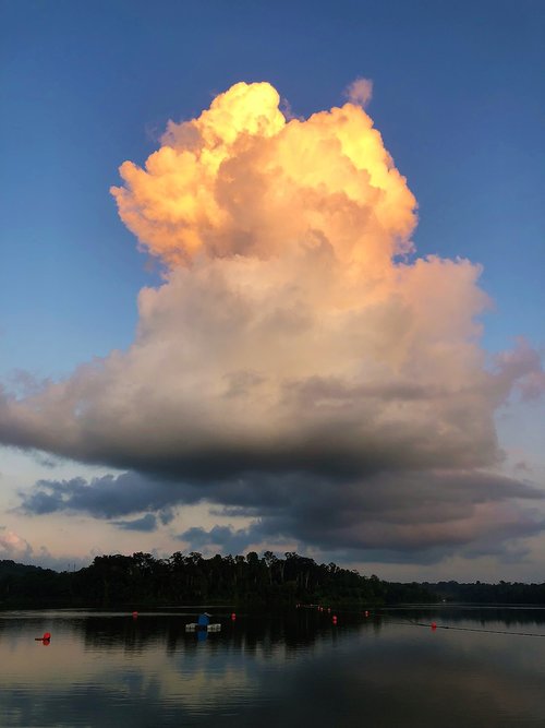 singapore  lower peirce reservoir  sunset