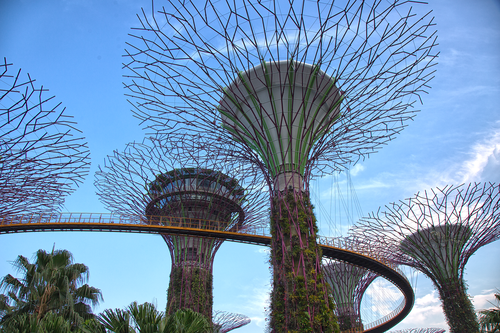 singapore  super trees  supertree