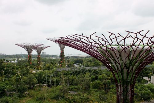 Singapore Giant Tree Gardens By Bay