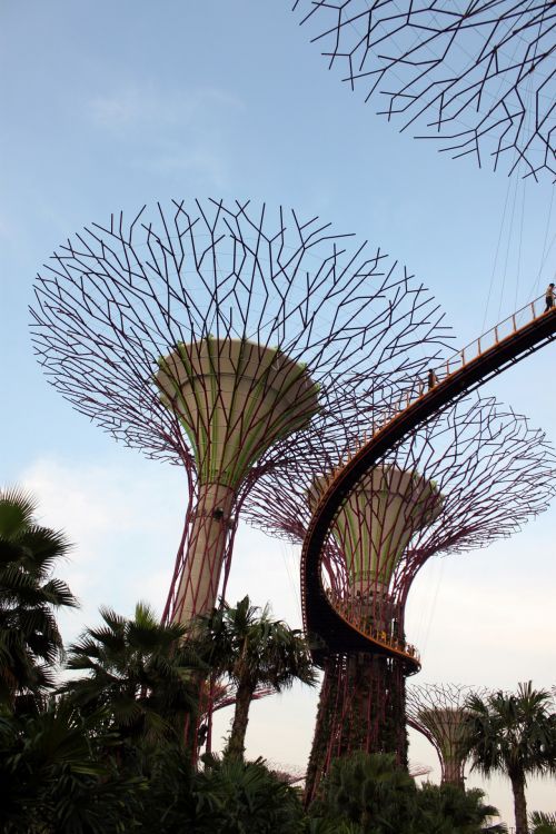 Singapore Sky Tree