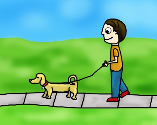 Single Dog Walk
