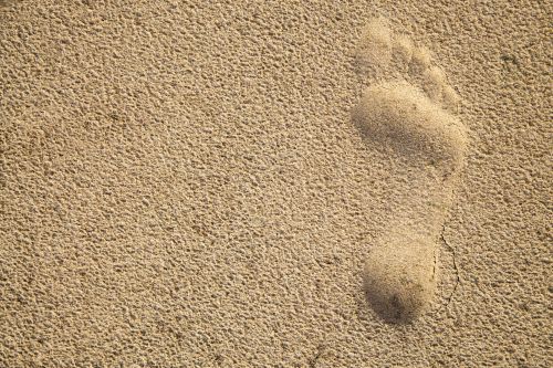 Single Footprint In Sand