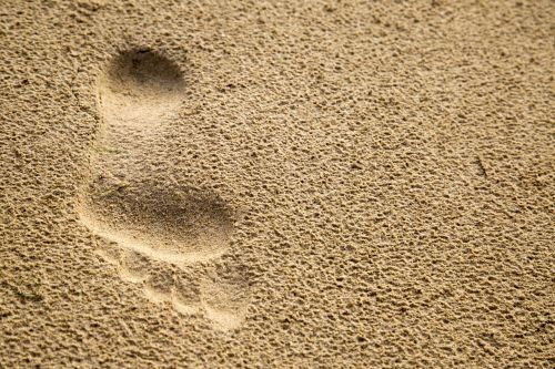 Single Footprint In Sand