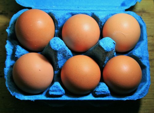 Six Brown Eggs