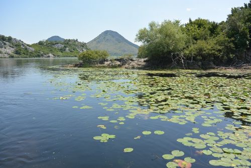 skadar lake montenegro journey
