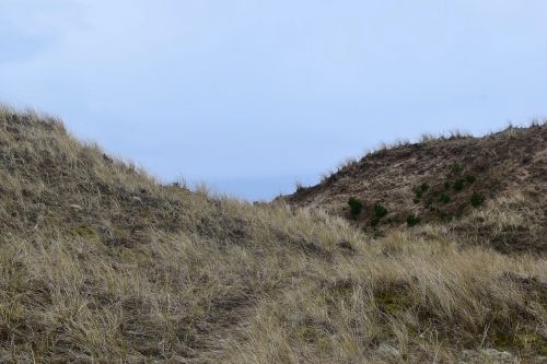 skagen landscape denmark