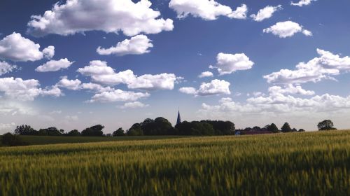 skåne countryside rapsmark