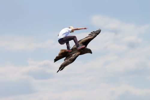 skatebirding freedom eagle