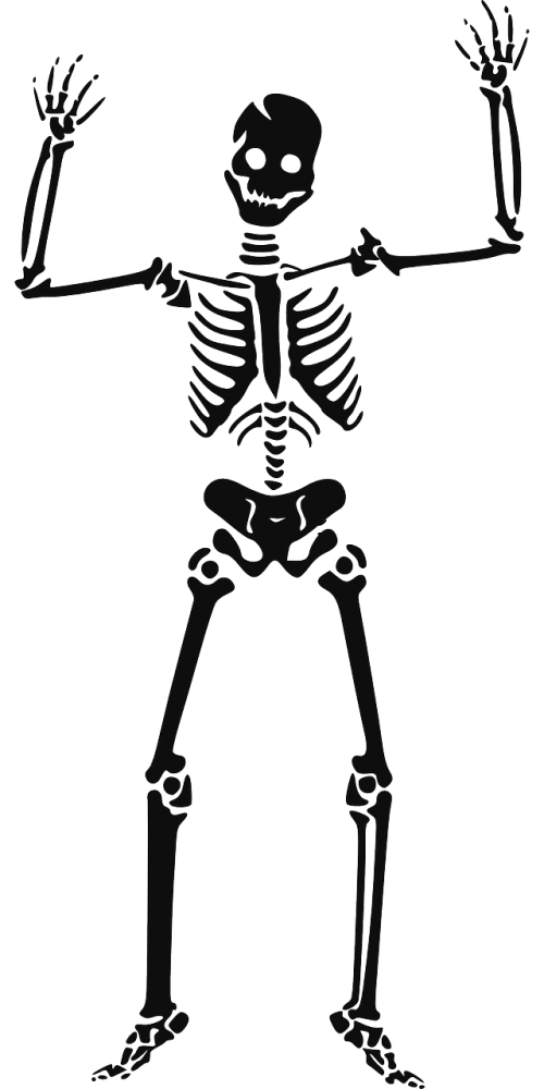 skeleton halloween witch