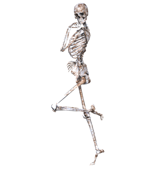 skeleton pose skull