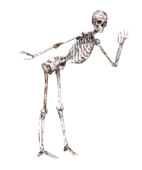 skeleton pose skull