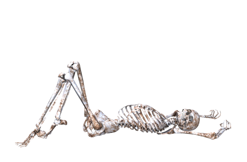 skeleton pose skull