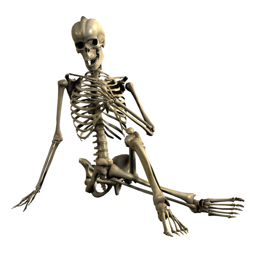 skeleton sitting skull