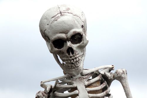 skeleton figure skull