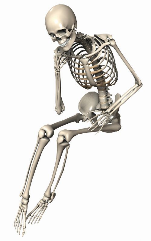 skeleton sitting female