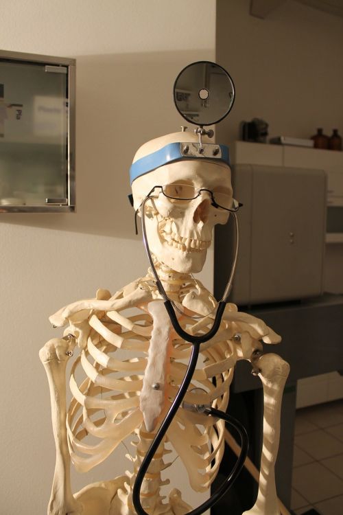 skeleton doctor fun
