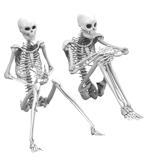 skeleton sitting isolated